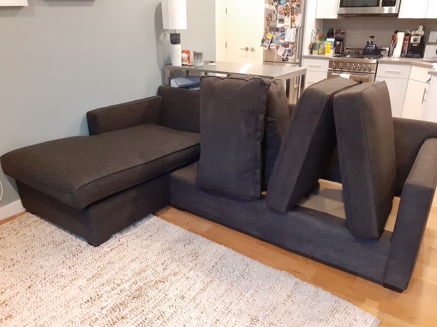 carpet cleaned from dog urine and cat urine with urine smell removal