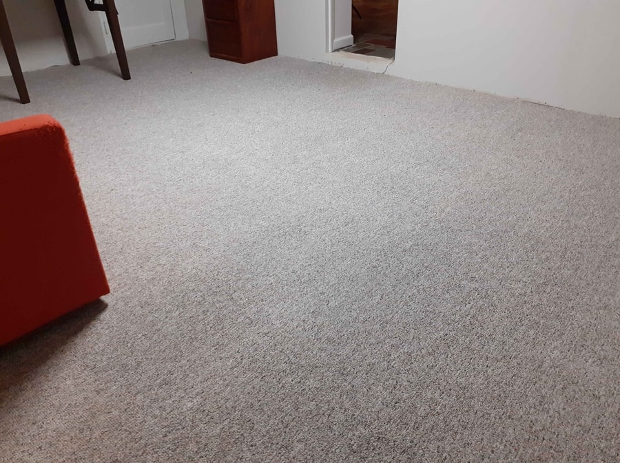 Commercial carpet steam cleaning services
