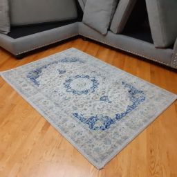 NYC residential carpet cleaning is one of our carpet cleaner services